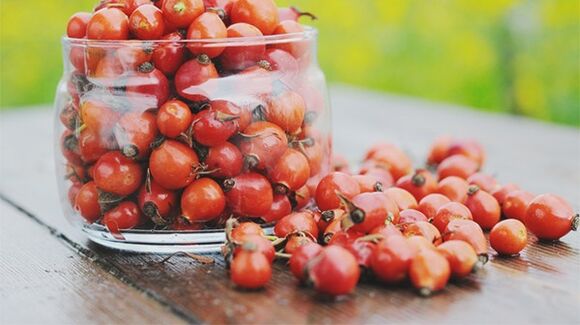 rosa mosqueta para el tratamiento de la diabetes