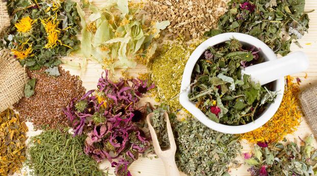 Plantas medicinales que ayudan en la lucha contra la diabetes